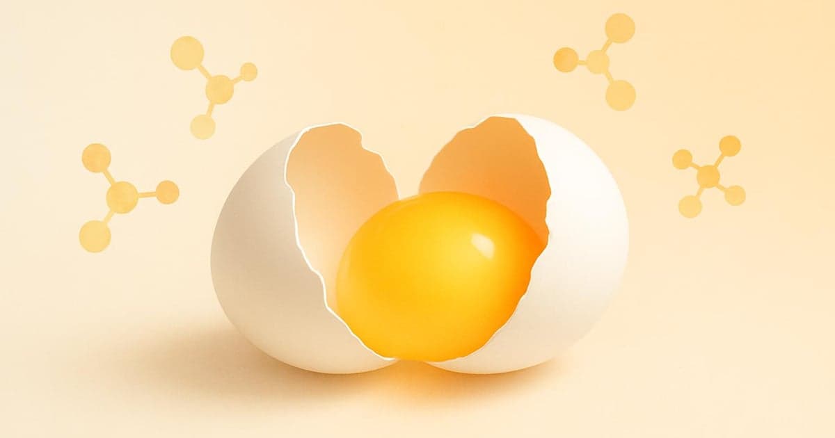 Ei-Protein: Die 25-Euro-Alternative zu teurem Whey