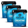 3 x Creatine Monohydrate - 100% Pure Powder (1000g)