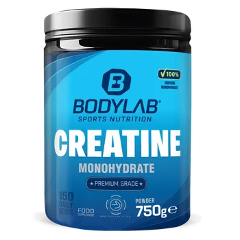 Creatine Monohydrate Powder (750g)