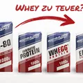 Whey Alternativen