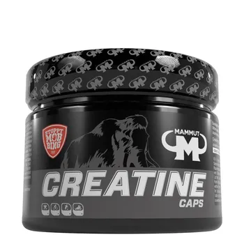 Creatine Caps - 240 Stück/Dose