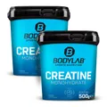 2 x Creatine Powder (500g)